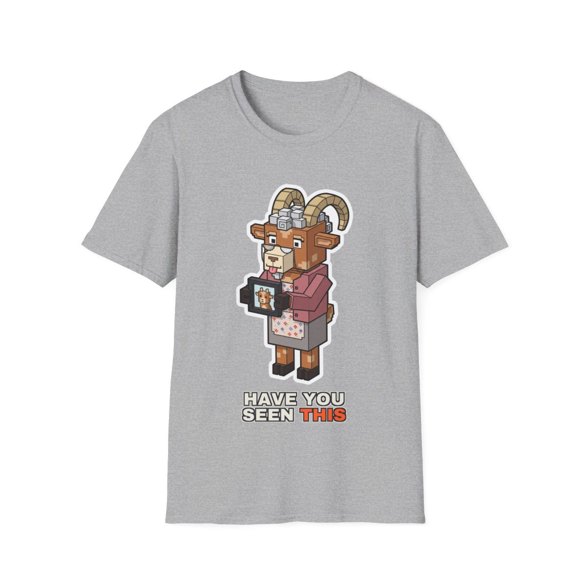 Have You Seen This - Sport Grey - front