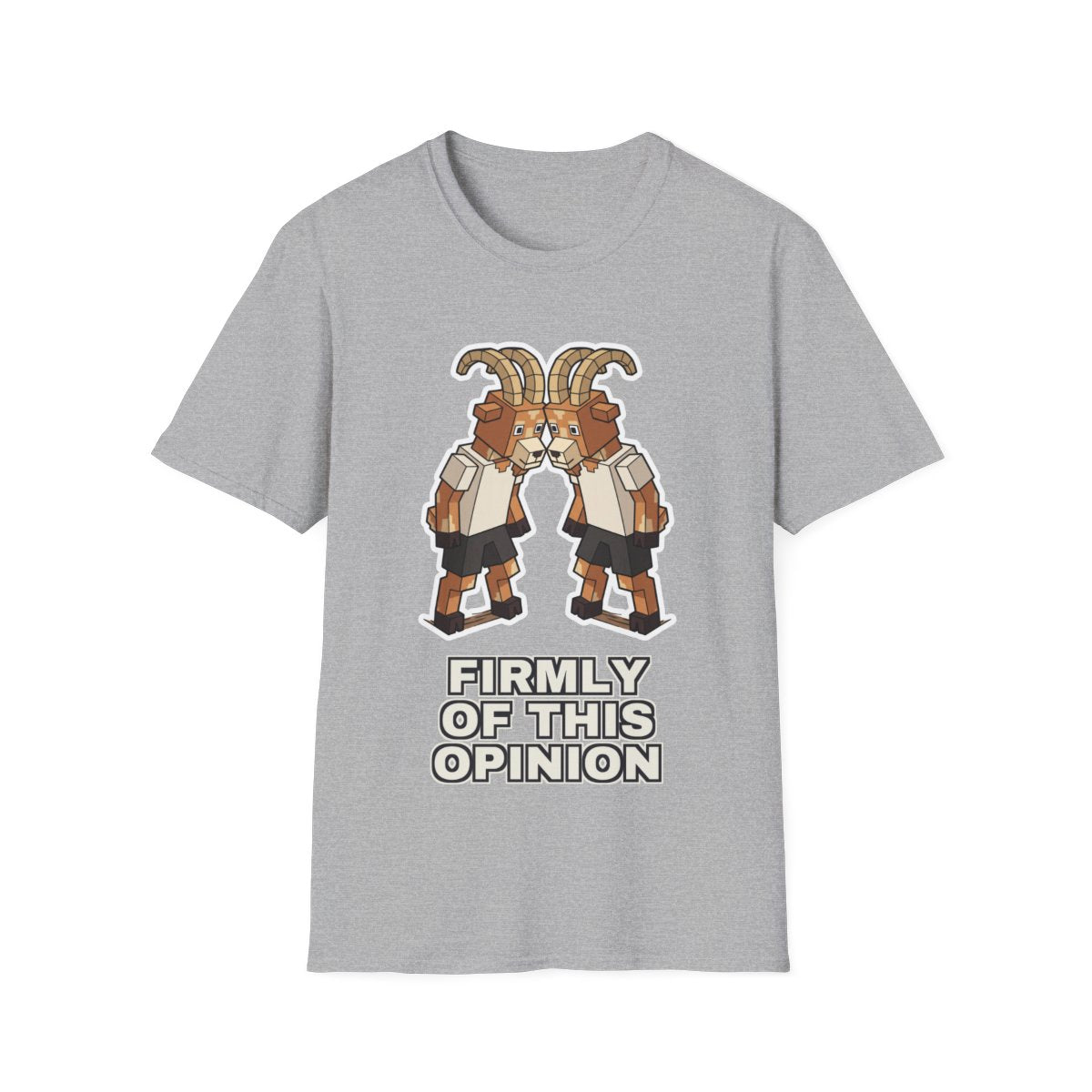 Held Without Evidence - Sport Grey - front